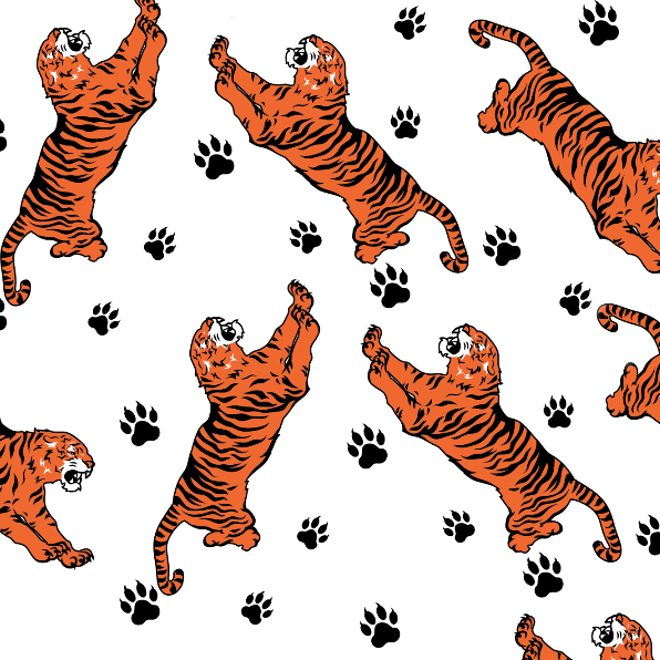 Personalised Name Blanket for Kids | Tigers