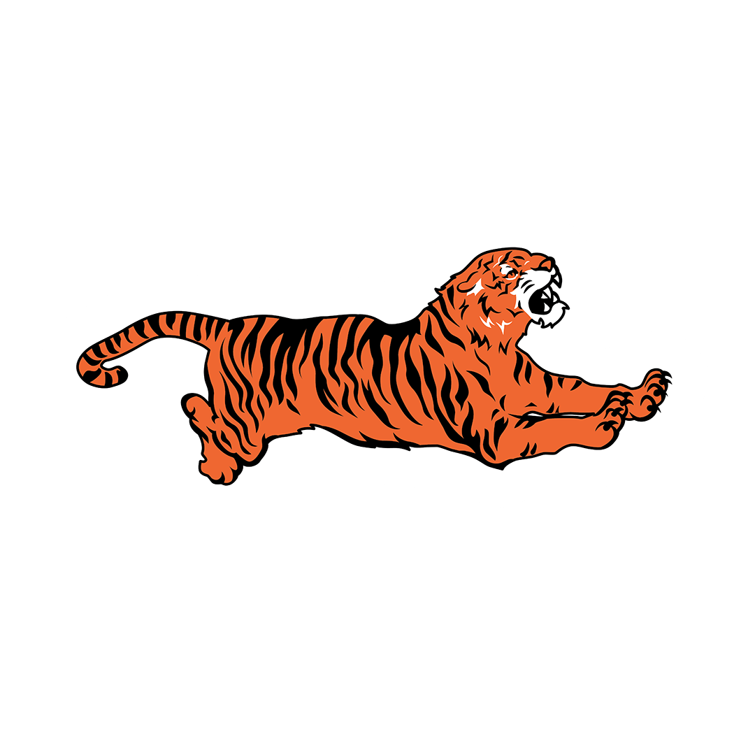 My Pillow-Pal | Tiger