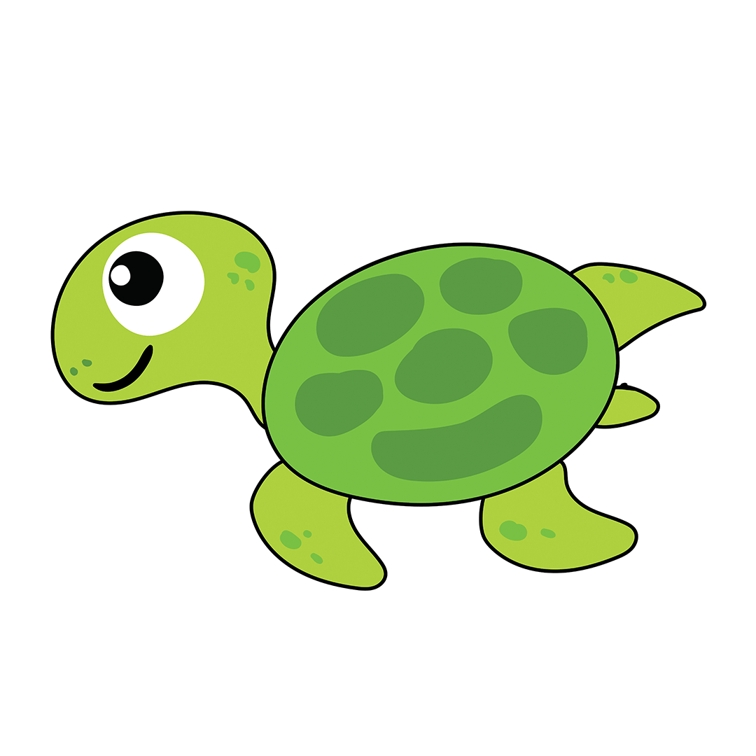 My Pillow-Pal | PP50 Turtle