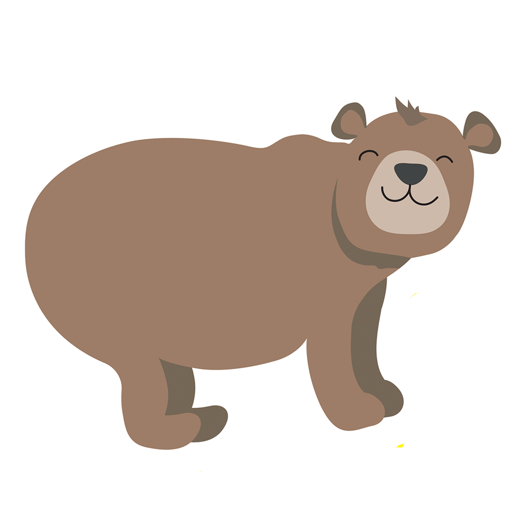 My Pillow-Pal | Bear