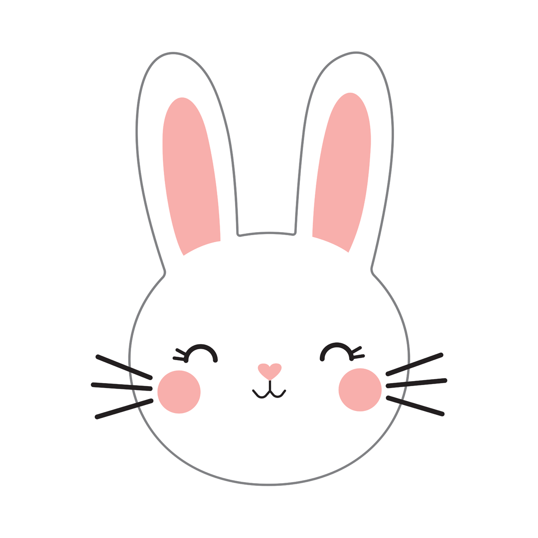 My Pillow-Pal | PP06 Bunny